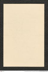 k.k. naturhistorisches Hofmuseum, Intendanzakten 1885-1896 (Hauer), Aktenzahl Z.389/1893, Seite 4